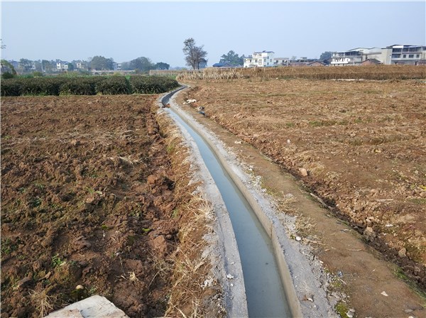 沙巴