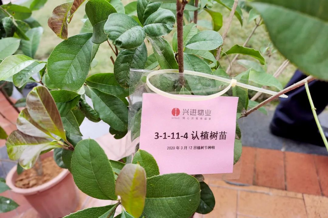 沙巴