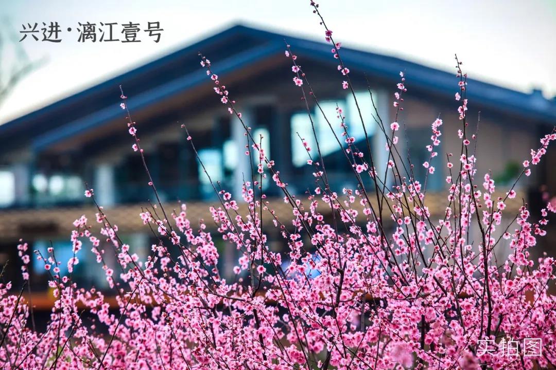 沙巴