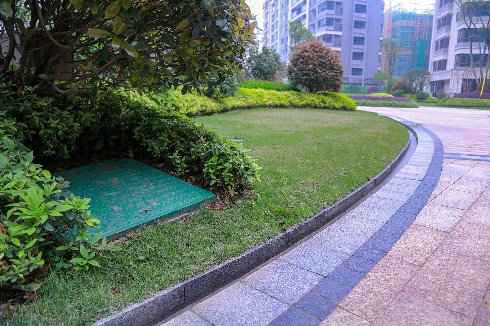 沙巴