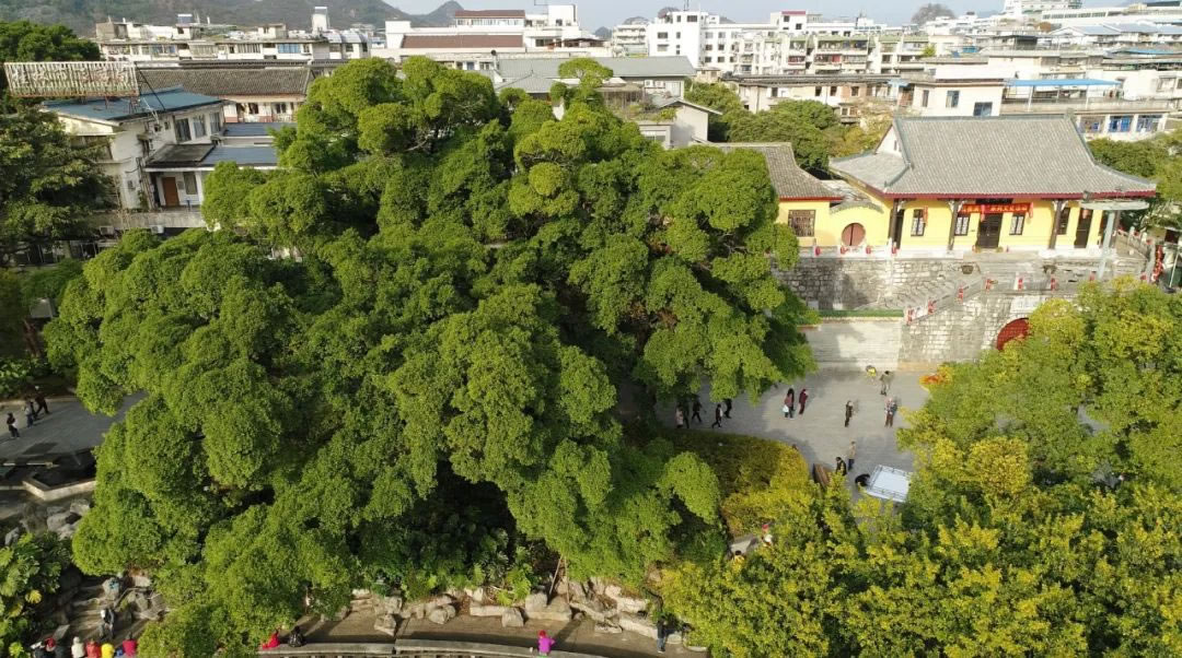沙巴